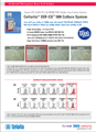 Cloning  Human iPSC 翡  DEF-CS culture system